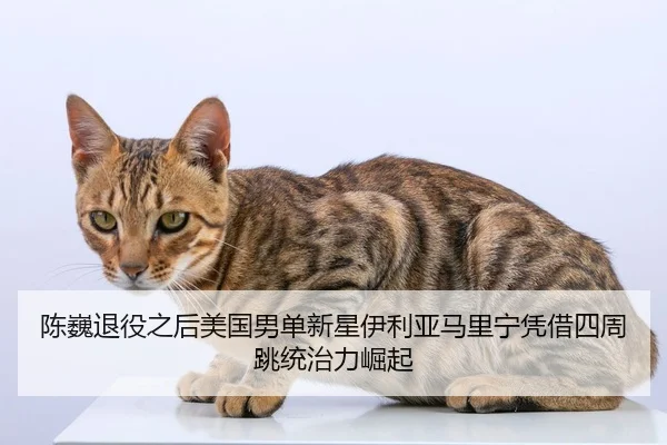 陈巍退役之后美国男单新星伊利亚马里宁凭借四周跳统治力崛起