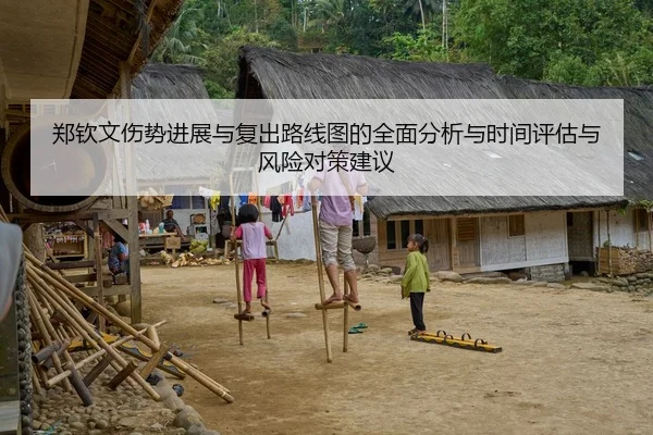 郑钦文伤势进展与复出路线图的全面分析与时间评估与风险对策建议
