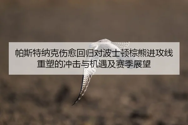 帕斯特纳克伤愈回归对波士顿棕熊进攻线重塑的冲击与机遇及赛季展望